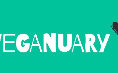 Care about the oceans? Choose fish-free!