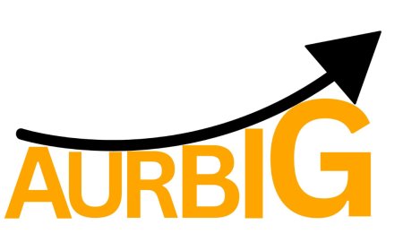 Arpit Gupta and AURBIG – A Journey of Innovation and Resilience