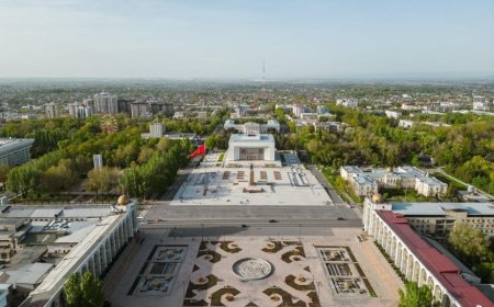 Sheen Stein Edutech and IEU Bishkek: A Pathway to Global Medicine