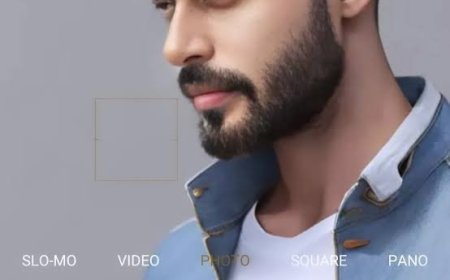 Mastering the Digital Landscape with Design Raddle