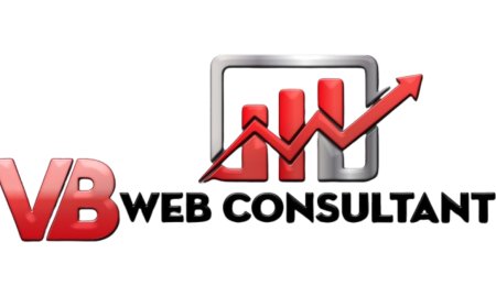 Experienced VB Web Consultant, Vinaykumar Raval, Helps Businesses Thrive Online