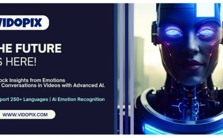 Vidopix AI Radically changing the Videos to Growth Engines