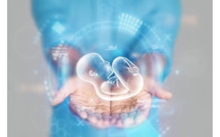 IVF Treatment in India: How Much Does it Cost